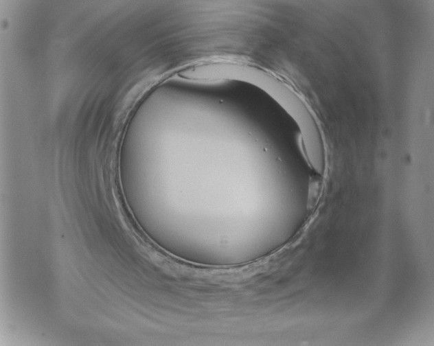 X0000071850001200607290144