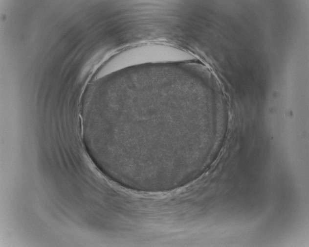 X0000071850002200607290144