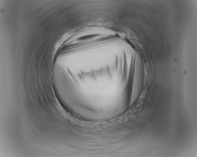 X0000071850003200607290144