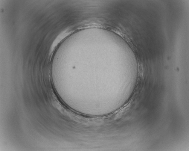 X0000071850004200607290144