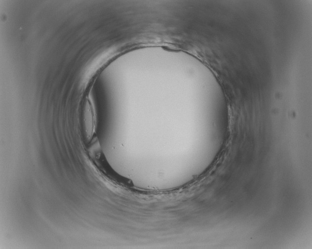 X0000071850005200607290144