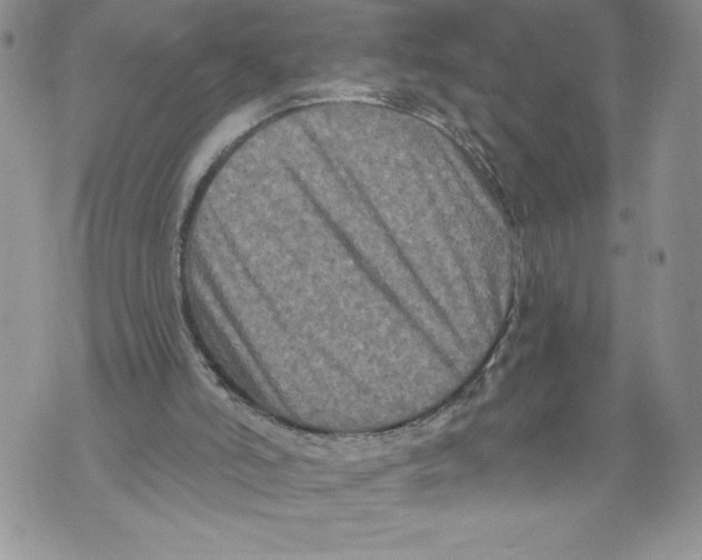 X0000071850006200607290144