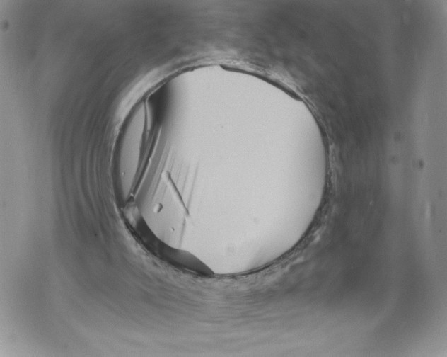 X0000071850007200607290144