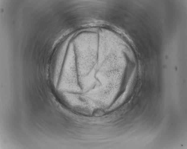 X0000071850010200607290144