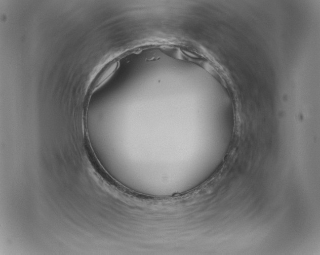 X0000071850011200607290144