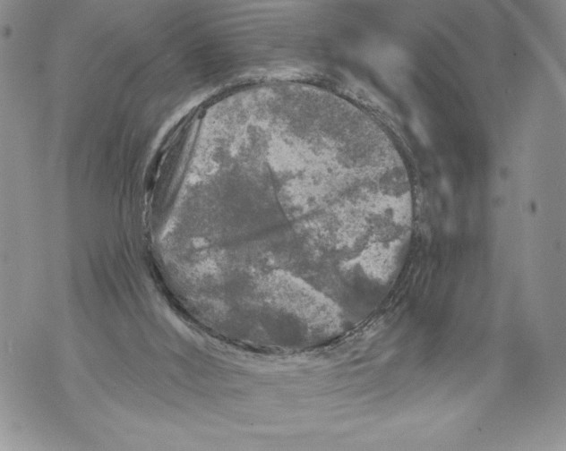 X0000071850012200607290144