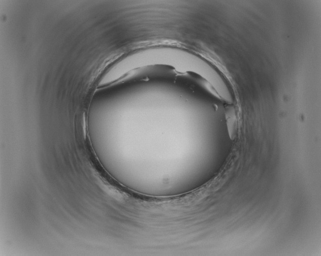 X0000071850013200607290144