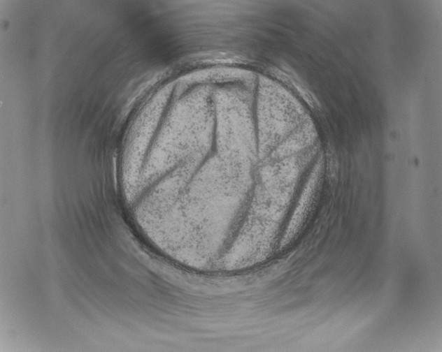 X0000071850014200607290144