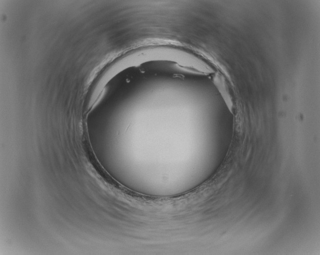 X0000071850015200607290144