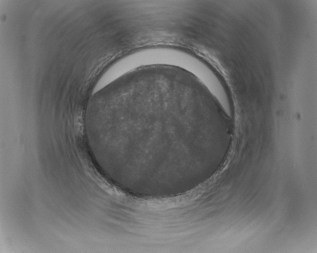 X0000071850017200607290144