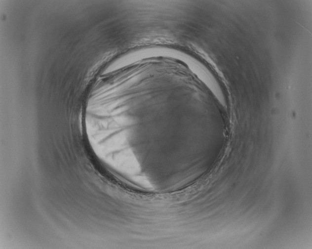 X0000071850019200607290144