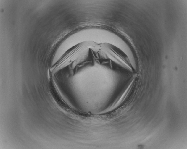 X0000071850020200607290144