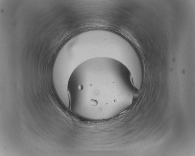 X0000071850021200607290144