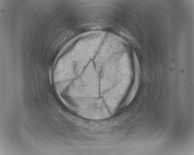 X0000071850022200607290144