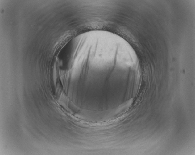 X0000071850023200607290144