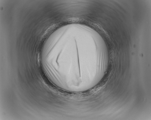 X0000071850024200607290144