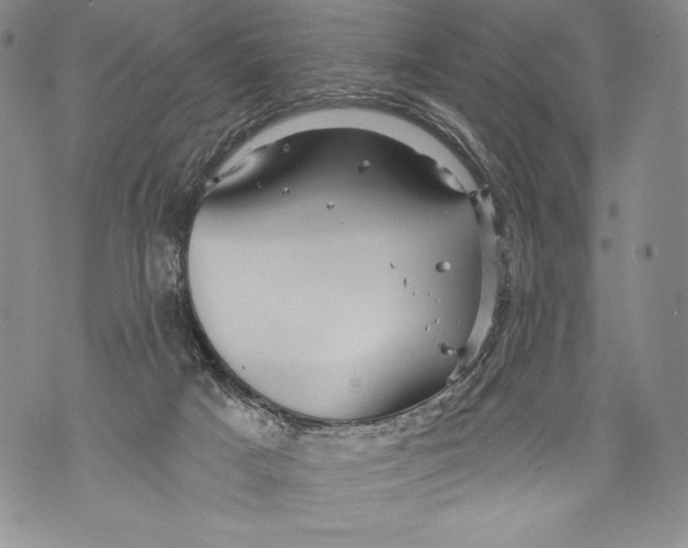 X0000071850025200607290143