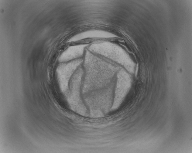 X0000071850026200607290143