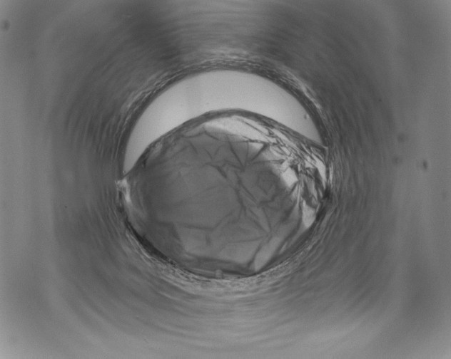 X0000071850027200607290143