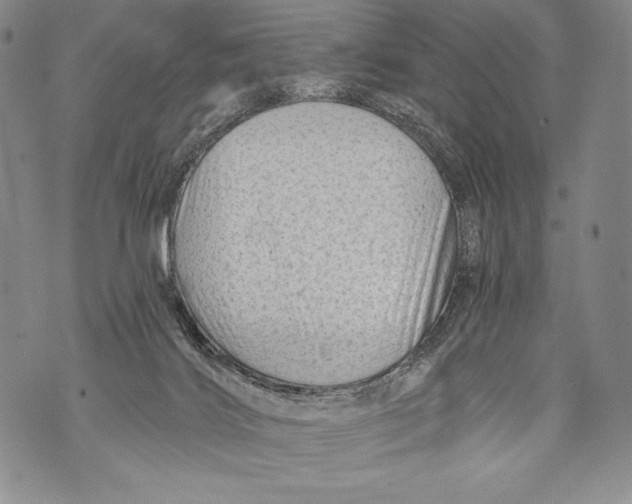 X0000071850028200607290143