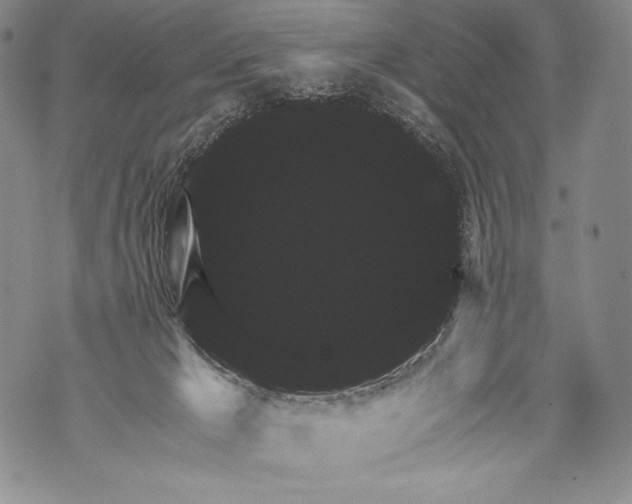 X0000071850029200607290143