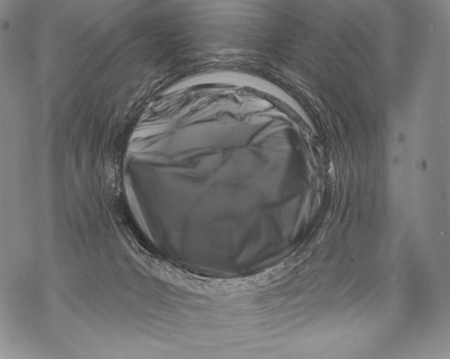 X0000071850031200607290143