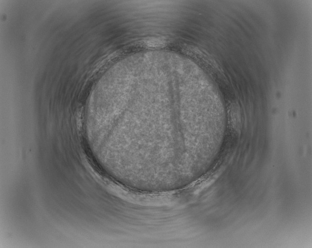 X0000071850032200607290143