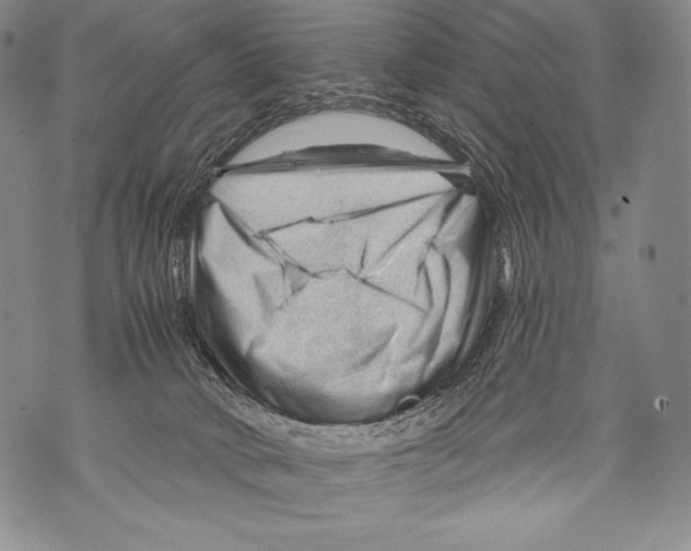 X0000071850034200607290143