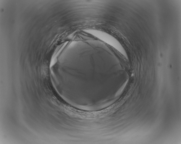 X0000071850035200607290143