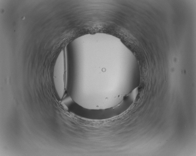 X0000071850037200607290143