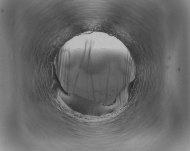 X0000071850039200607290143