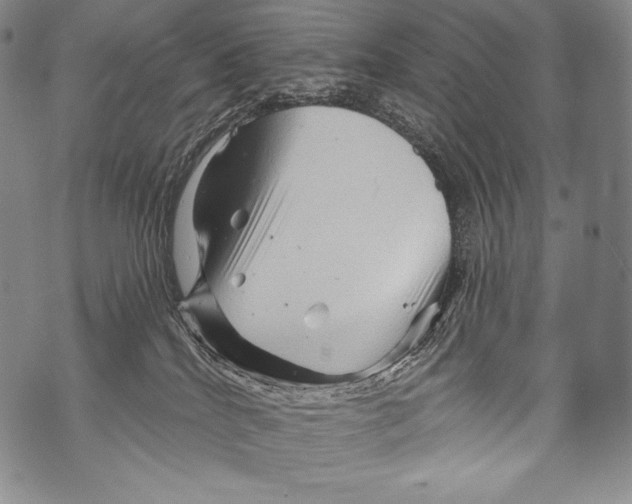 X0000071850040200607290143