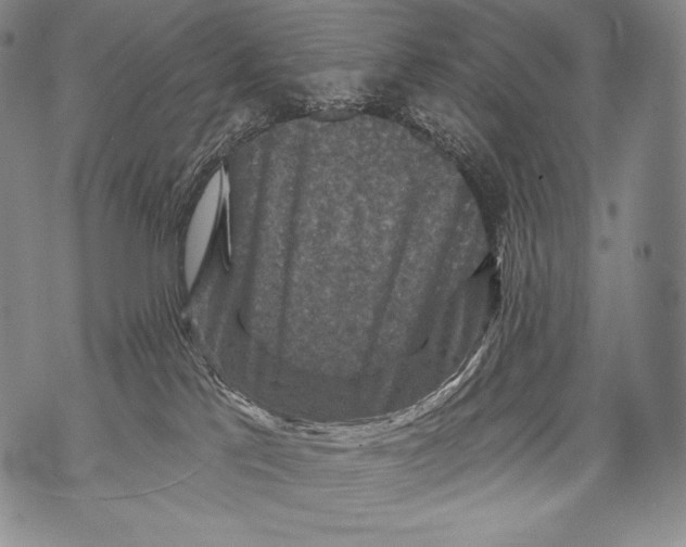 X0000071850041200607290143