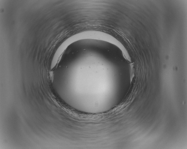 X0000071850044200607290143