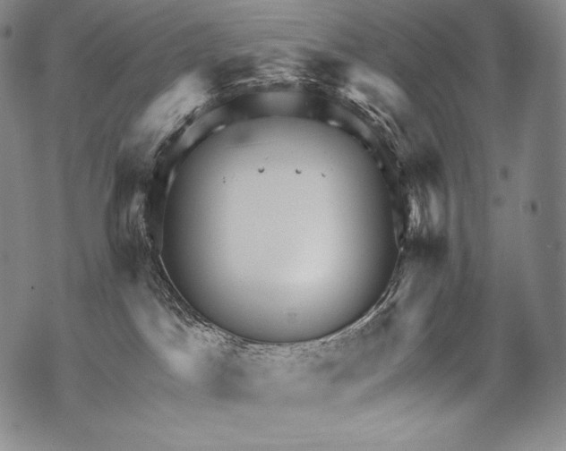 X0000071850045200607290143