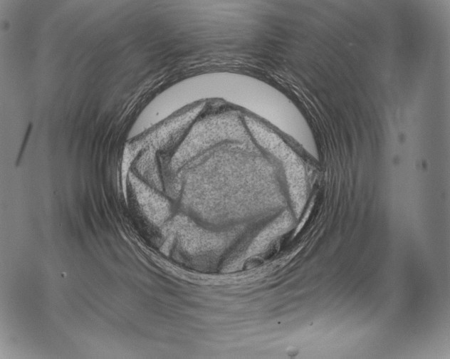 X0000071850046200607290143