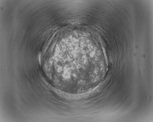 X0000071850047200607290143