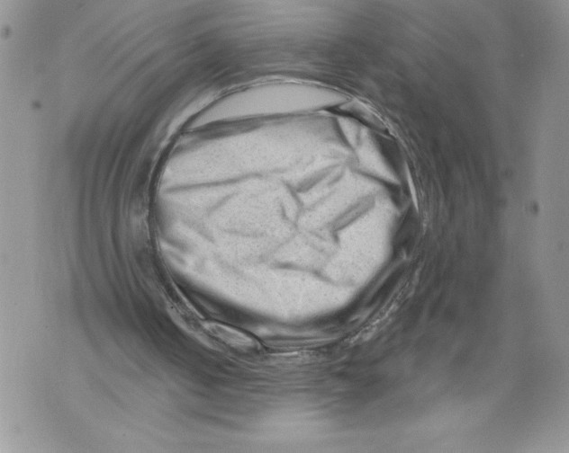 X0000071850050200607290142