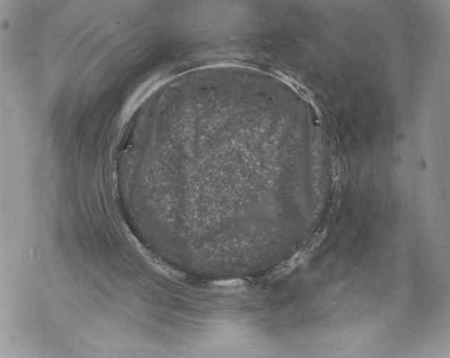 X0000071850053200607290142