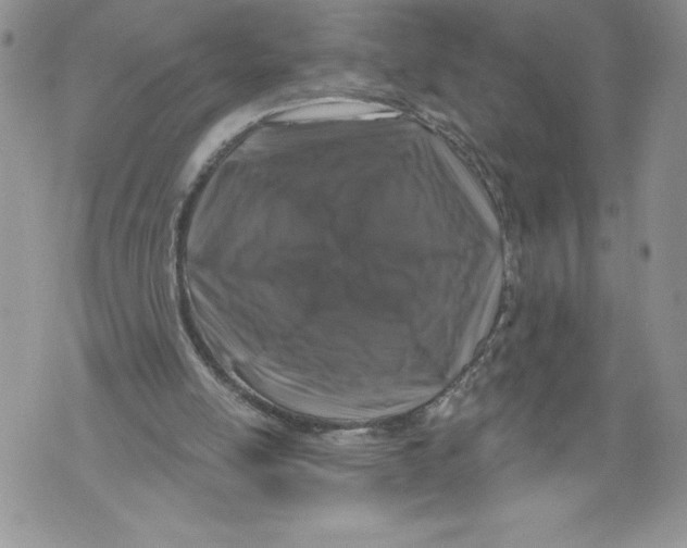 X0000071850054200607290142