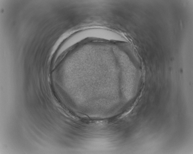 X0000071850056200607290142