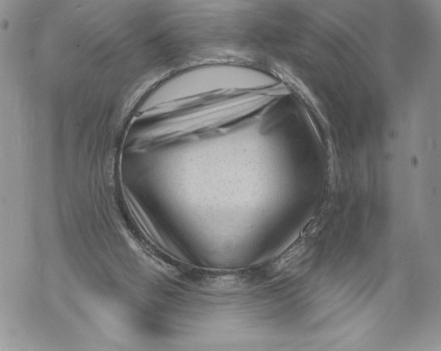 X0000071850058200607290142