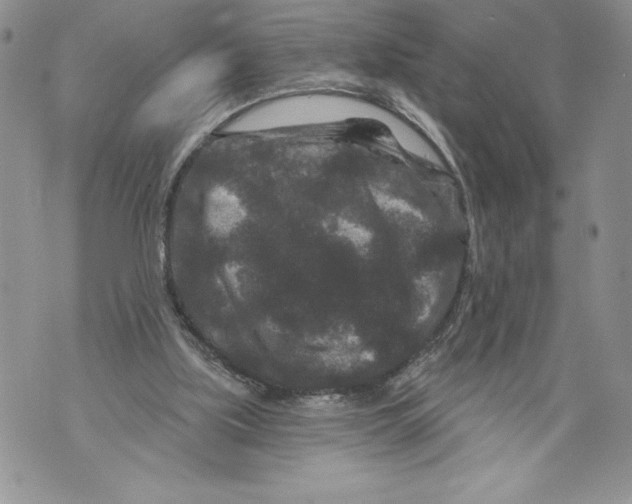 X0000071850059200607290143