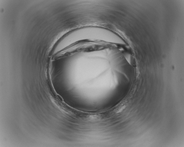 X0000071850060200607290143