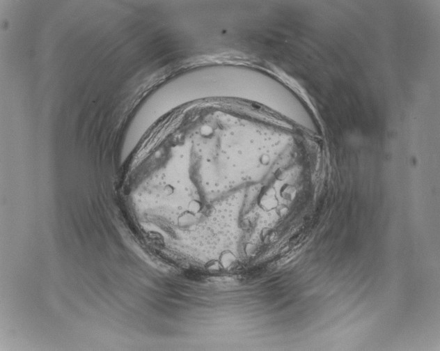 X0000071850061200607290143