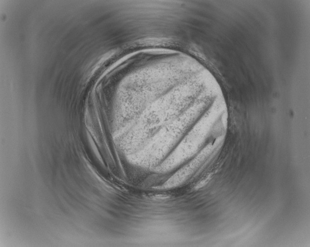 X0000071850062200607290143