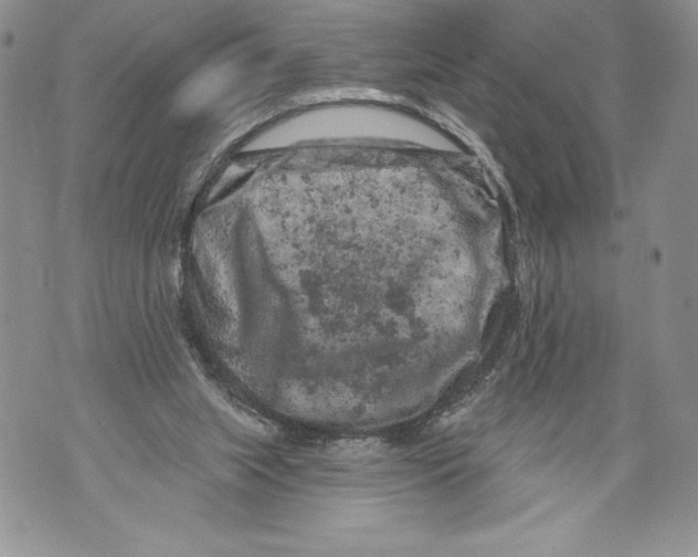 X0000071850063200607290143