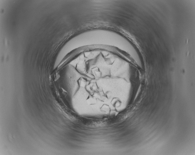 X0000071850065200607290143