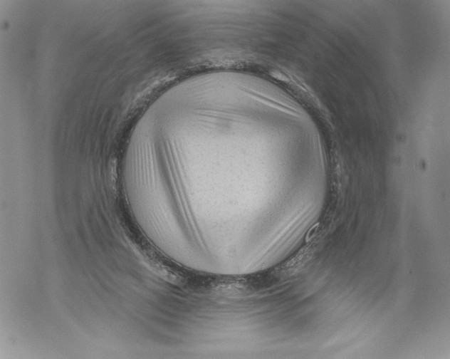 X0000071850066200607290143