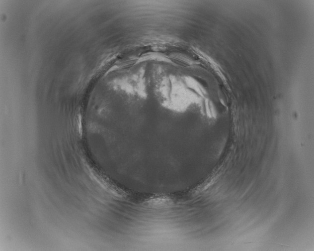 X0000071850067200607290143